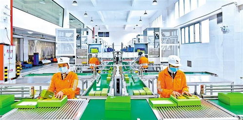 双轮驱动，服务强区 深圳罗湖构建高效多式联运服务体系